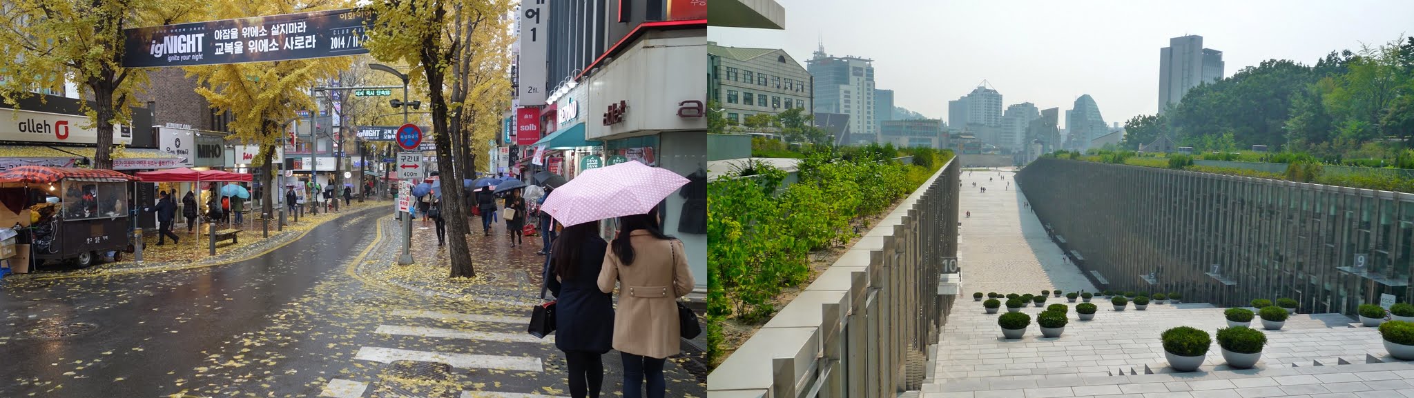 Wow! Ini Loh 5 Universitas Khusus Wanita Paling TOP di Korea!