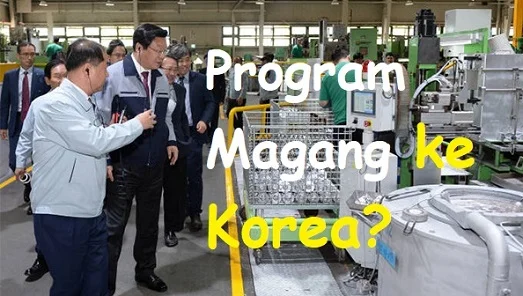 program magang di Korea