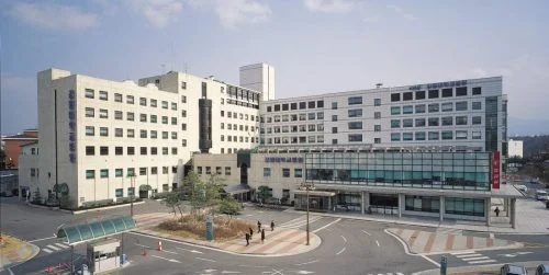 Kangwon National University, Beasiswa S1