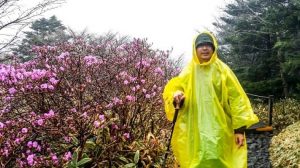 Kosakata Seputar Hobi Dalam Bahasa Korea